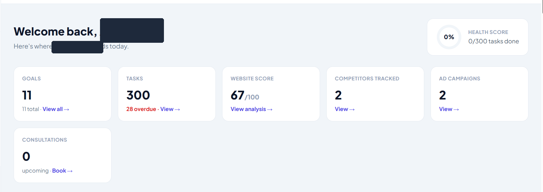Busitrix dashboard overview showing goals, tasks, website score, competitors tracked, and ad campaigns
